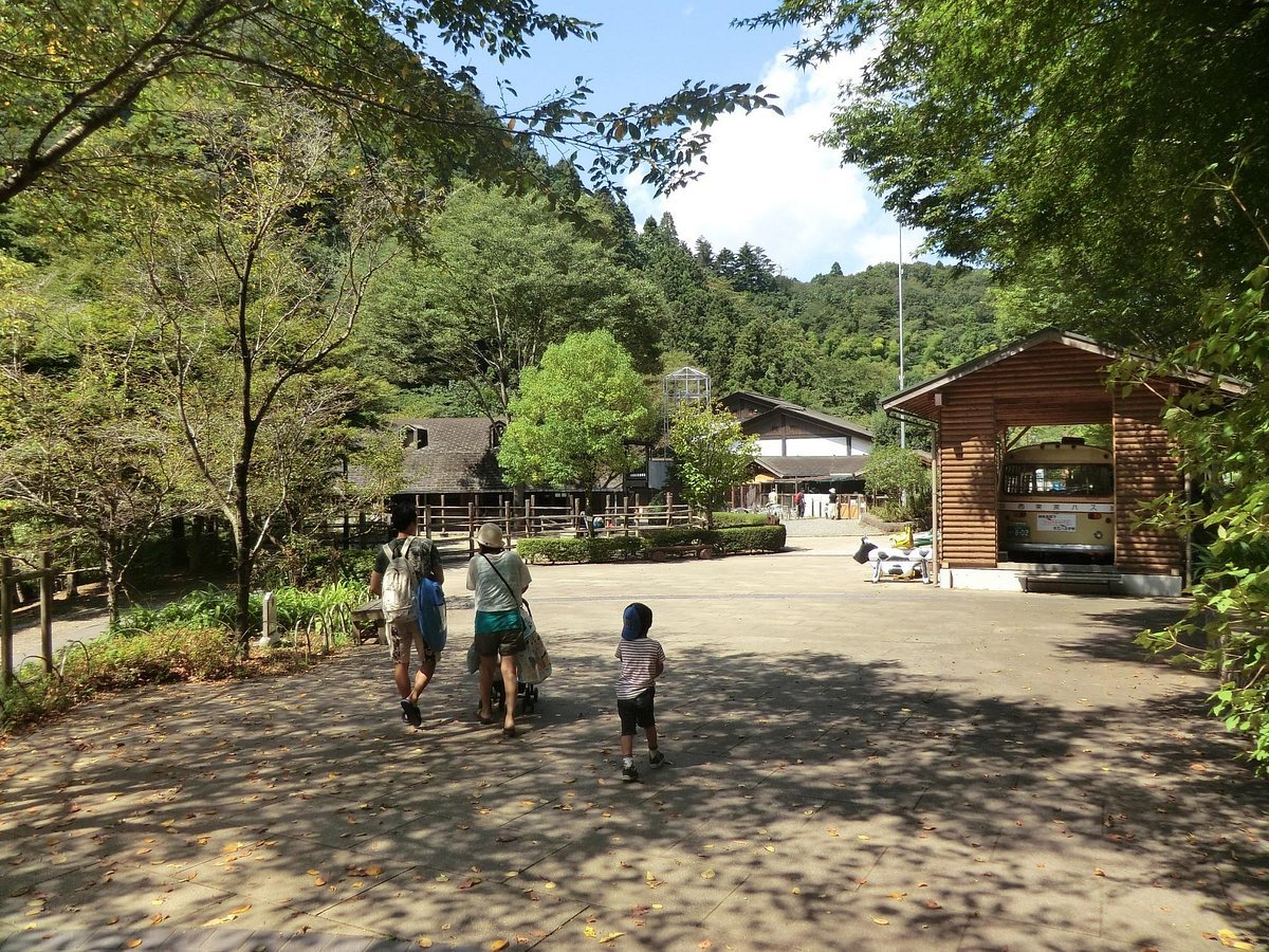 🏞️ 저녁노을 작은노을 만남의 마을 (유야케 코야케 후레아이노 사토) 이미지 5